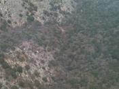 Relatan caída avión Jenni Rivera