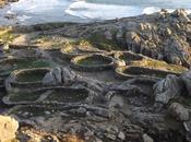 Castro Baroña: natura arqueología