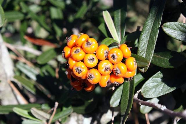 Una mañana en el bosque