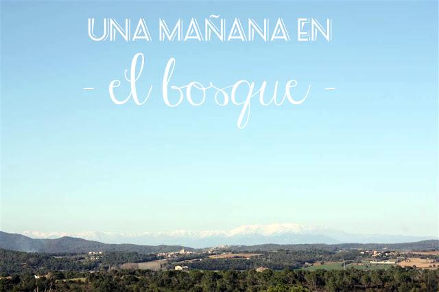 Una mañana en el bosque