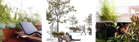 paisajismo-habitacion-verde-00 paisajismo habitacion verde 00 Concursa y gana con La Habitacion Verde!