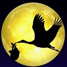 Causas de infertilidad