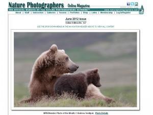 Los mejores 20 sitios de fotografía para tener en cuenta