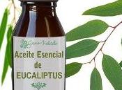 aceite eucalipto para aliviar dolor