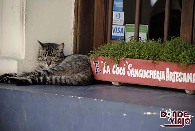 Restaurante en Valparaíso