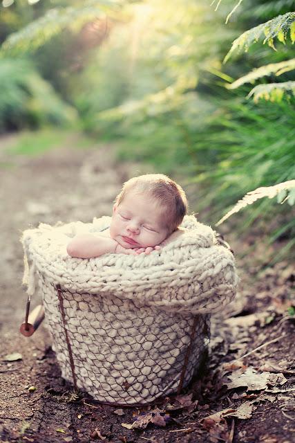 ¡Los Reyes de la Navidad!