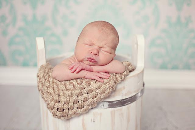 ¡Los Reyes de la Navidad!