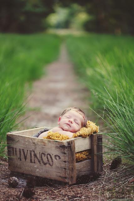 ¡Los Reyes de la Navidad!