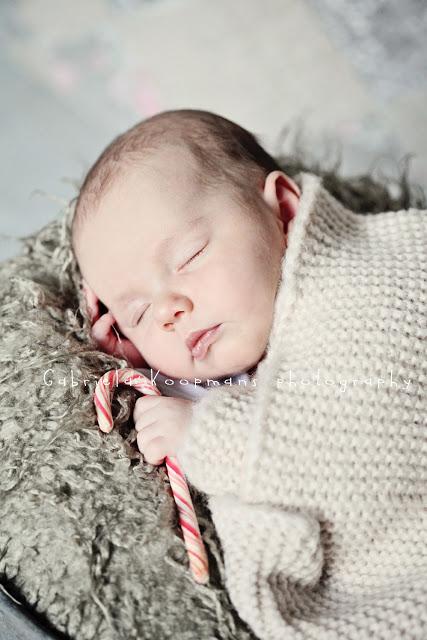 ¡Los Reyes de la Navidad!