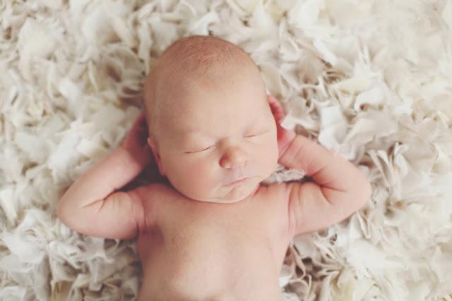 ¡Los Reyes de la Navidad!