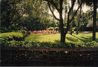 WALT DISNEY WORLD ORLANDO (VII): BUSCH GARDEN