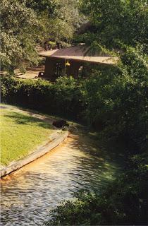 WALT DISNEY WORLD ORLANDO (VII): BUSCH GARDEN