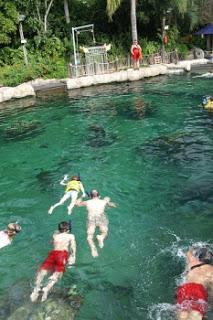 WALT DISNEY WORLD ORLANDO (IV): TYPHOON LAGOON