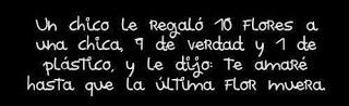 CURIOSIDADES EL CANARIO