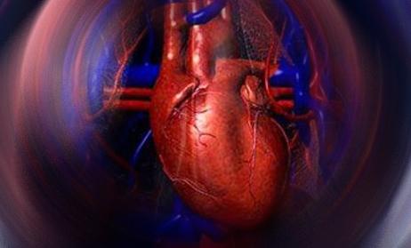 Clover: la valvula cardiaca, duradera y hemocompatible.