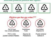 bisfenol afectaría función tiroidea