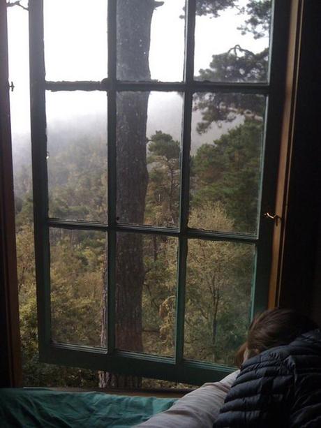 desde el pinar Desde el pinar con Madame Guillotine