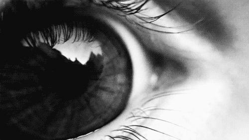 Insistimos, los memes estan entre nosotros, no os quepa la menor duda que nos observan