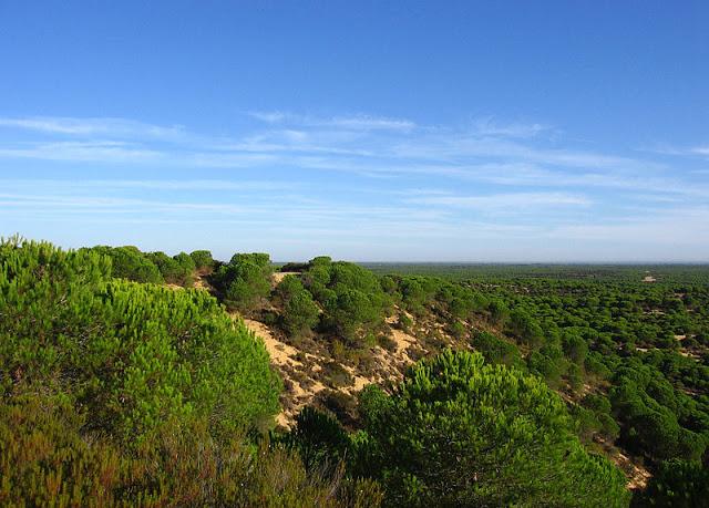 DISFRUTA DE LA LUZ DE MATALASCAÑAS, EN HUELVA, TODO EL AÑO