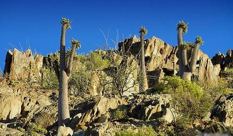 Paisajes que parecen de fantasía en África