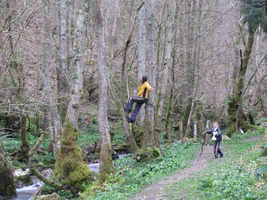 Al rio a tirar piedras