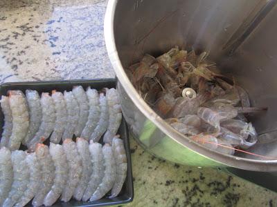 Volavanes mar y tierra