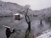 ENCUENTRO ABIERTO TAICHI CHIKUNG JARDINES TURIA-Sábado Diciembre 11:00 13:00