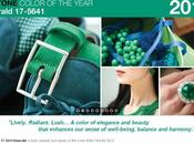 Esmeralda: color 2013