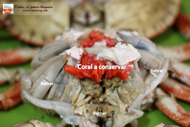 Cómo limpiar un buey de mar o centolla y preparar su relleno. Receta Navideña