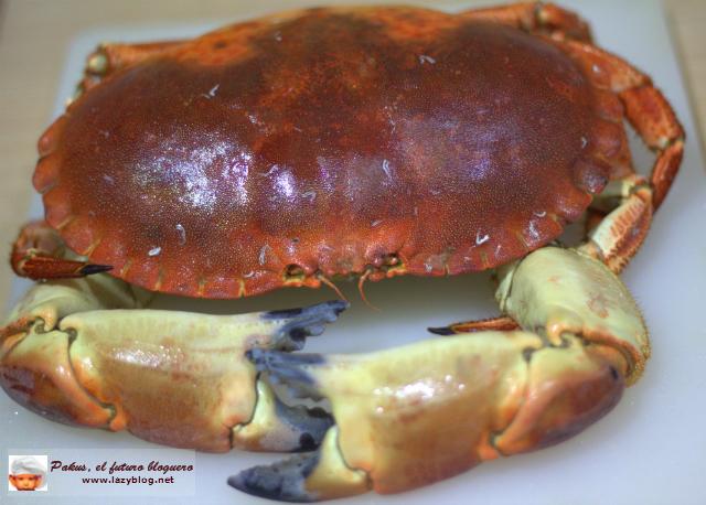 Cómo limpiar un buey de mar o centolla y preparar su relleno. Receta Navideña