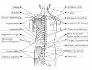 Aumentar su energía y regular la digestión con acupresión