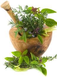 Hierbas para mejorar la circulación  de la sangre