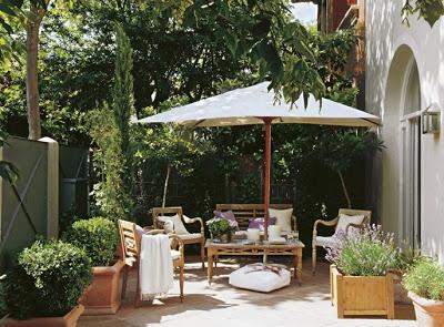 Creando Patios Rusticos