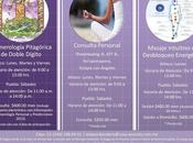 Horarios Servicios Casa Ananda 2013