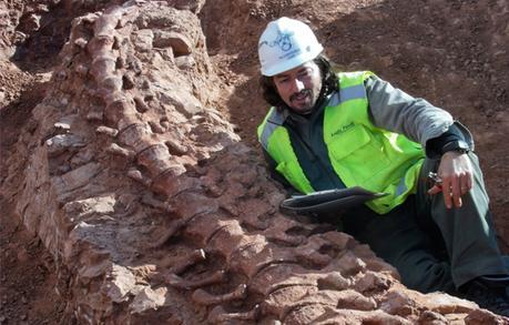 El CONICET otorgó 604 cargos para la Carrera de Investigador Científico | CONICET