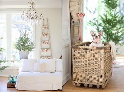 Con que Adornar en Navidad