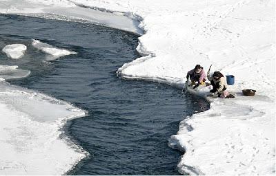 Se acerca el invierno