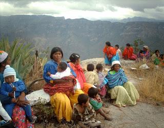 Prioridad en la producción de granos básicos, CNC ¡