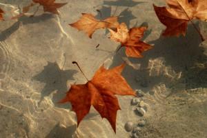 Luna nueva (Barcelona, decembre 2012) LUNA NUEVA… EN UNA GÉLIDA NOCHE