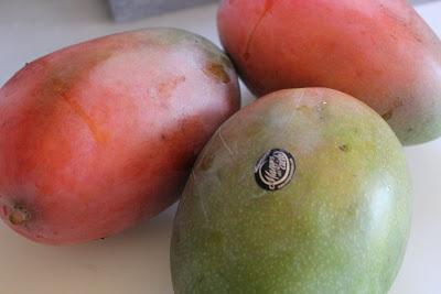 Tarta de Mangos Divinos (
