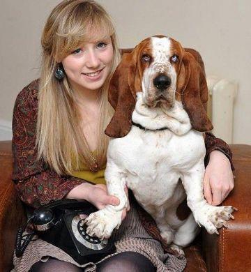 Un perro llamó al telefono de emergencia y salvó su propia vida