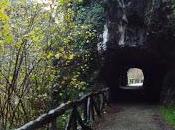 Branding, procesos búsqueda resultados