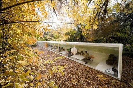 ESTUDIO EN EL BOSQUE DE SELGAS CANO