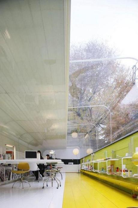 selgas_cano_oficinas_bajo_arboles_12 ESTUDIO EN EL BOSQUE DE SELGAS CANO