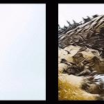 Los Vengadores GIF animado 1