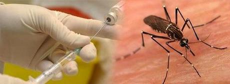 Novedades en las enfermedades tropicales olvidadas