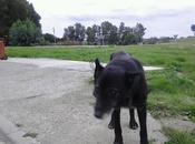 ABUELITA AÑOS ABANDONADA GASOLINERA. (Cadiz)