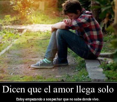 El amor llega solo