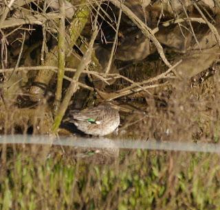 Por la ría de Villaviciosa