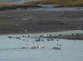 Por la ría de Villaviciosa